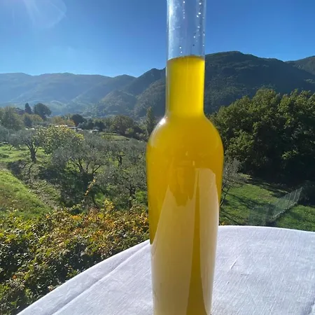 Rox E Claudia Bed & Breakfast