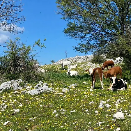 Rox E Claudia 4* Lugnola