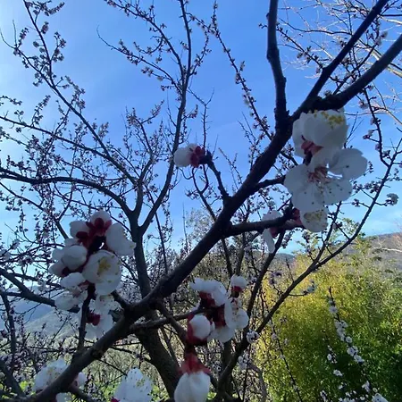 Rox E Claudia Bed & Breakfast