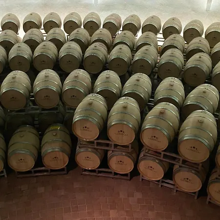 Rox E Claudia Lugnola