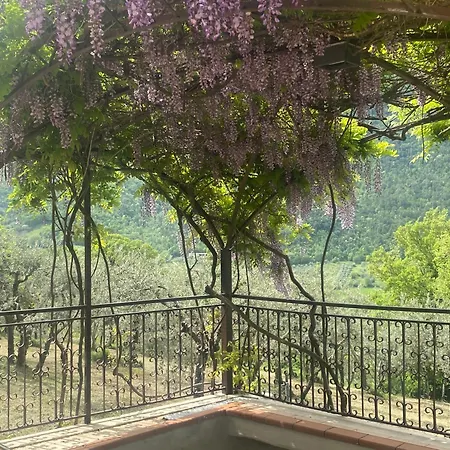 Bed & Breakfast Rox E Claudia