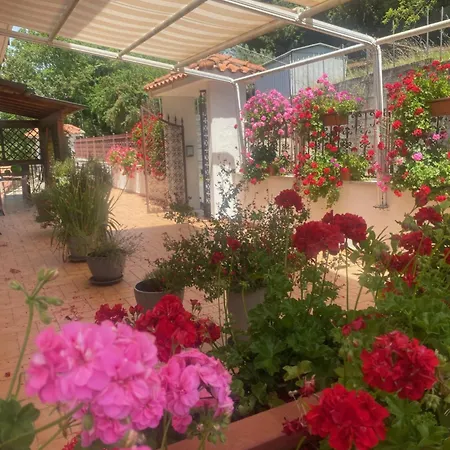 Rox E Claudia Bed & Breakfast 4*