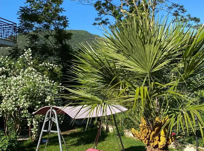 Rox E Claudia Lugnola