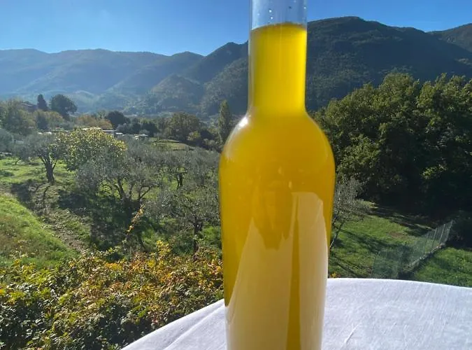 Rox E Claudia Bed & Breakfast