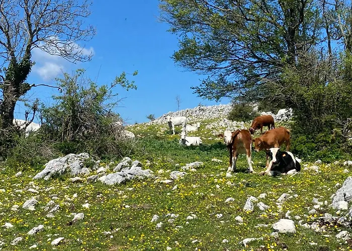 Rox E Claudia 4* Lugnola