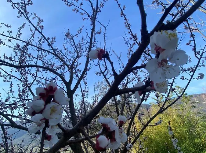 Rox E Claudia Bed & Breakfast