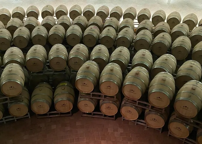 Rox E Claudia Lugnola