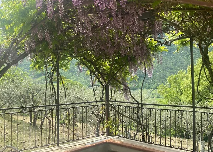 Bed & Breakfast Rox E Claudia